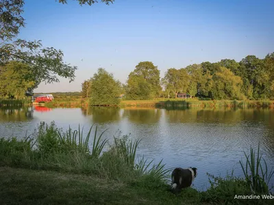Emplacement ombragé