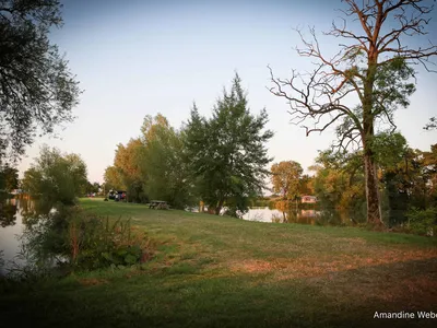 L'étang